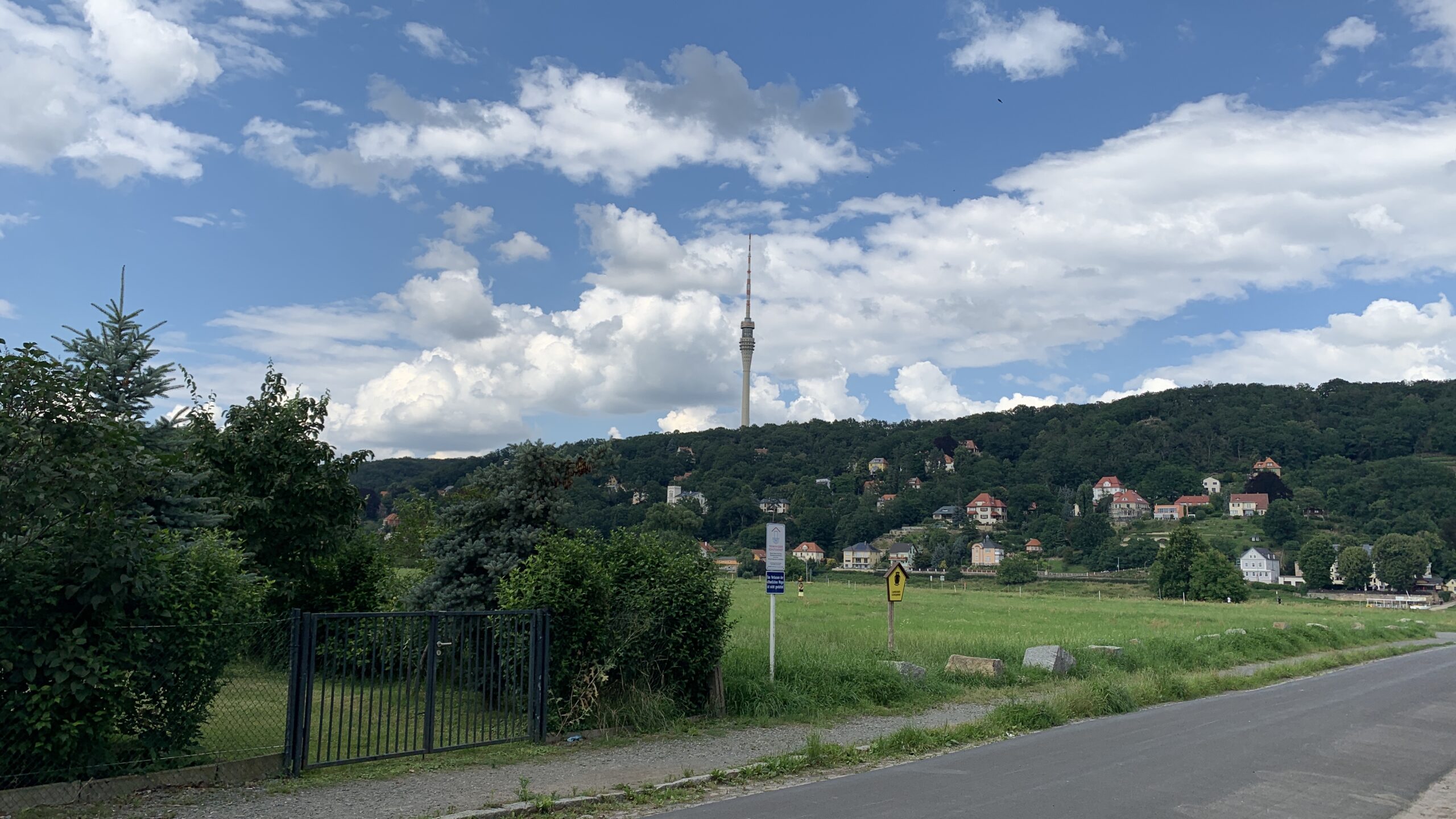 Elbwiese und Dresdner Fernsehturm