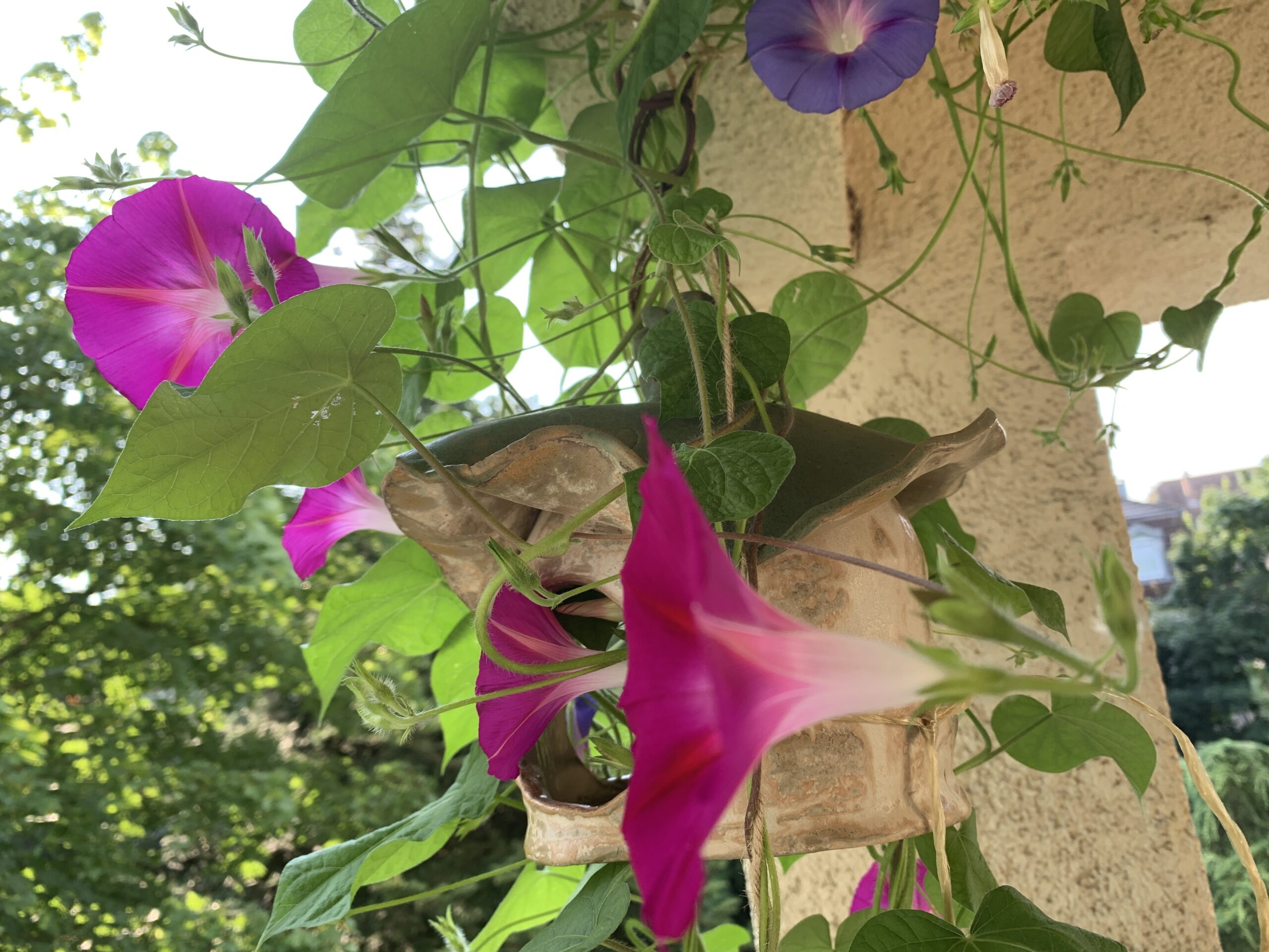 Erholung ist wichtig: aber ab wann erholen wir uns?