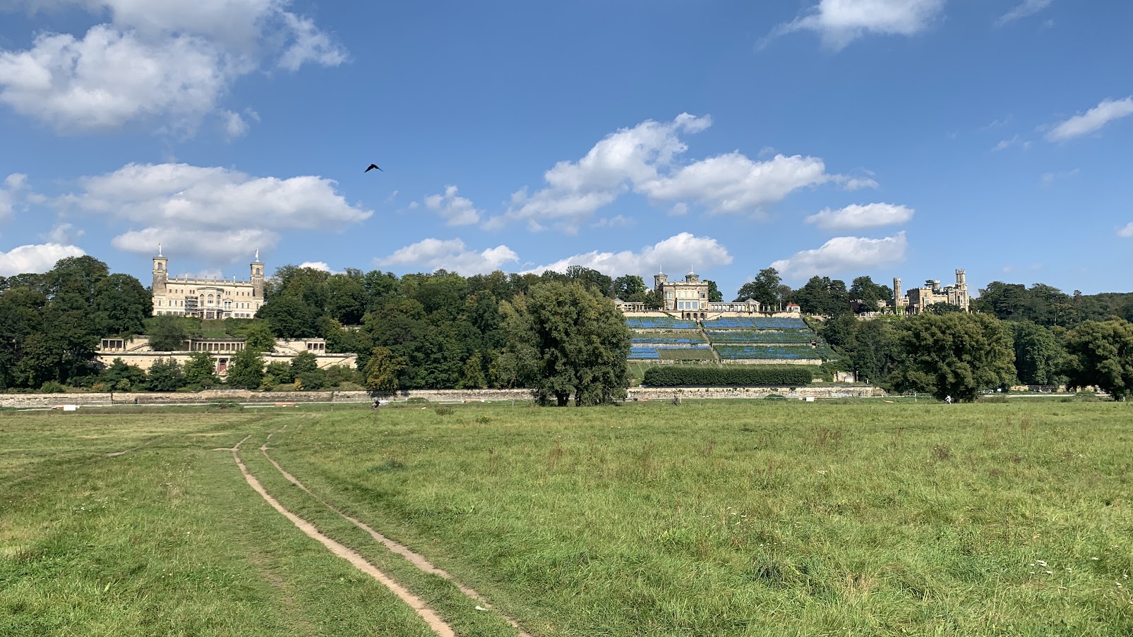 das blaue wunder von dresden