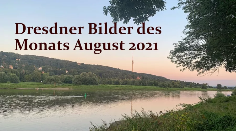 Dresdner Bilder des Monats August