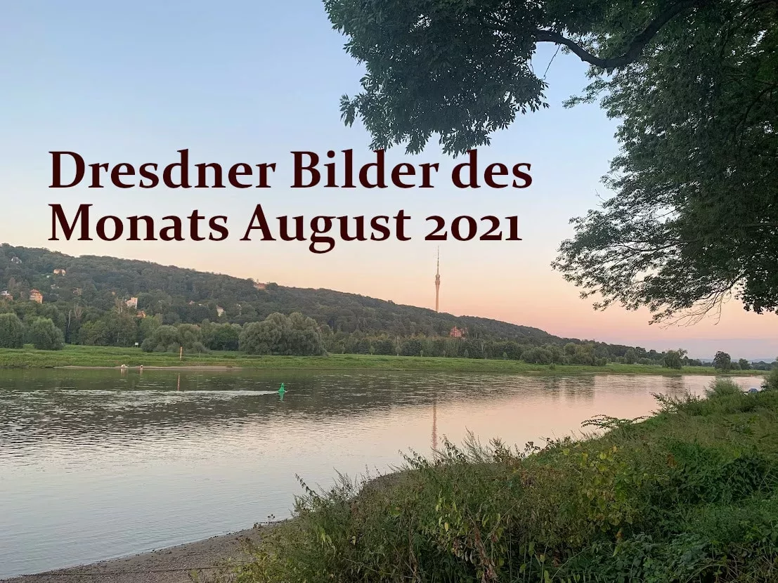 Dresdner Bilder des Monats August