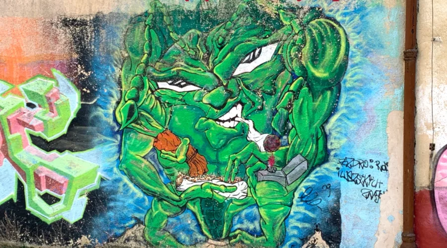 Oh, ein Schnäppchen-wenn billig teuer ist 1 Der Schnäppchenjäger