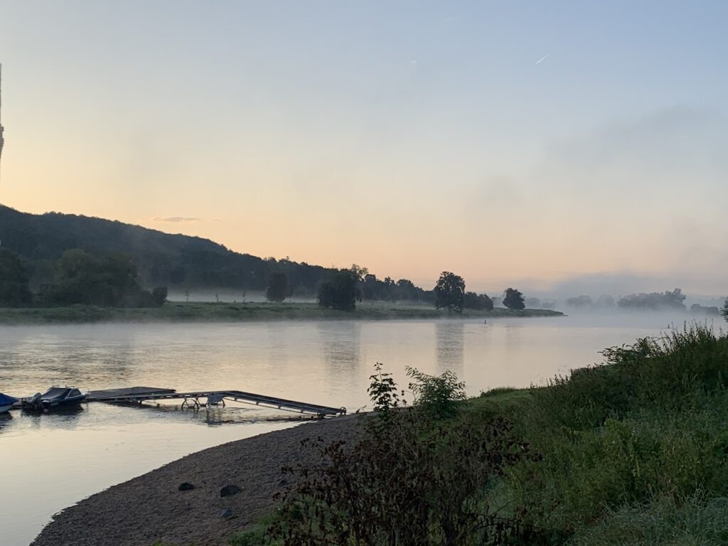 Morgens an der Elbe