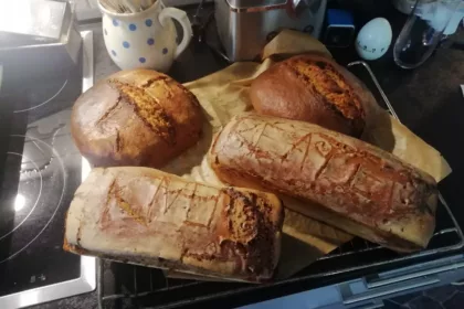 Brot selber backen - Brotkasten und rundes Roggenbrot