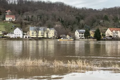 Bilder Elb-Hochwasser Dresden-Laubegast 2023 2 Elb-Hochwasser Dresden-Laubegast 2023