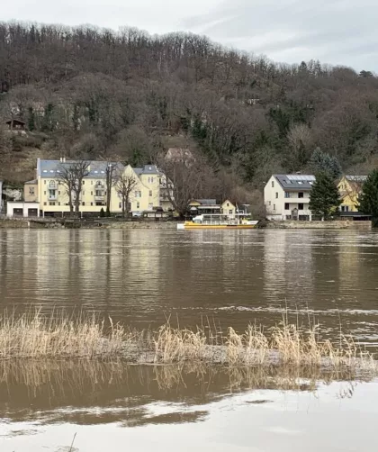 Elb-Hochwasser Dresden-Laubegast 2023