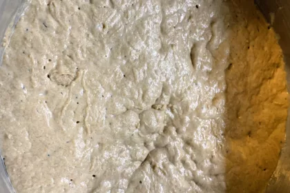 Eigenen Roggensauerteig herstellen 16 fertiger Sauerteig, Roggensauer aus Roggenmehl