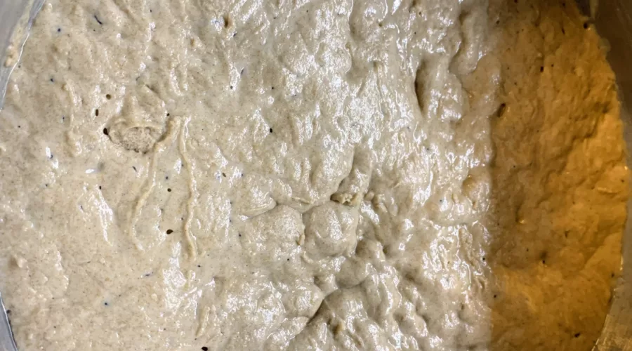 Eigenen Roggensauerteig herstellen 1 fertiger Sauerteig, Roggensauer aus Roggenmehl