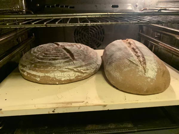 Knut`Roggenbrot - Guide: Buch + Onlinekurs 6 Brot im Backofen