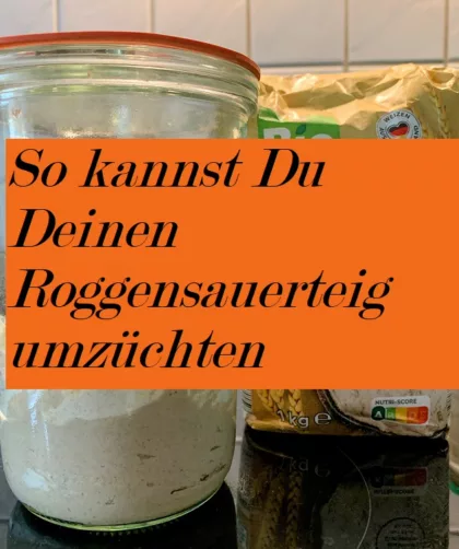 So kannst Du Deinen Roggensauerteig umzüchten