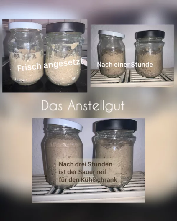 Knut`Roggenbrot - Guide: Buch + Onlinekurs 5 Der Weg zum Sauerteig Anstellgut - So verwendest Du Knuts Sauerteig