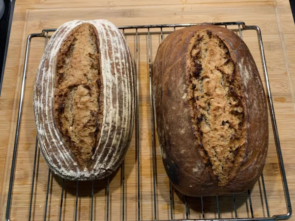 Knut`Roggenbrot - Guide: Buch + Onlinekurs 4 Erlebnisbox Brot backen mit Natursauerteig: Das fertige Brot