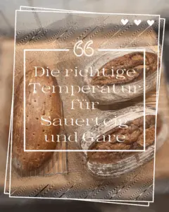 Wenn man bäckt ist die richtige Temperatur besonders wichtig. Diese Temperatur für Sauerteig und Gare ist entscheidend für das Gelingen des Brotes. Und das nicht nur beim backen, sondern schon vorher, bei der Herstellung des Teiges. Hefe und Sauerteig mögen es lauschig warm. Im Normalfall heißt das bei Roggenbrot ungefähr 27-30°C. Weizenteige sind bei 24-27 °C optimal. Im Sommer ist das kein Problem. Doch ab September, wenn die Temperaturen runtergehen, dann eben doch. Generell ist es so, dass wir wohl-temperierte Zutaten brauchen. Besonders relevant ist die Temperatur für Sauerteig und Gare.