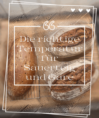Wenn man bäckt ist die richtige Temperatur besonders wichtig. Und das nicht nur beim backen, sondern schon vorher, bei der Herstellung des Teiges. Hefe und Sauerteig mögen es lauschig warm. Im Normalfall heißt das bei Roggenbrot ungefähr 27-30°C. Weizenteige sind bei 24-27 °C optimal. Im Sommer ist das kein Problem. Doch ab September, wenn die Temperaturen runtergehen, dann eben doch.