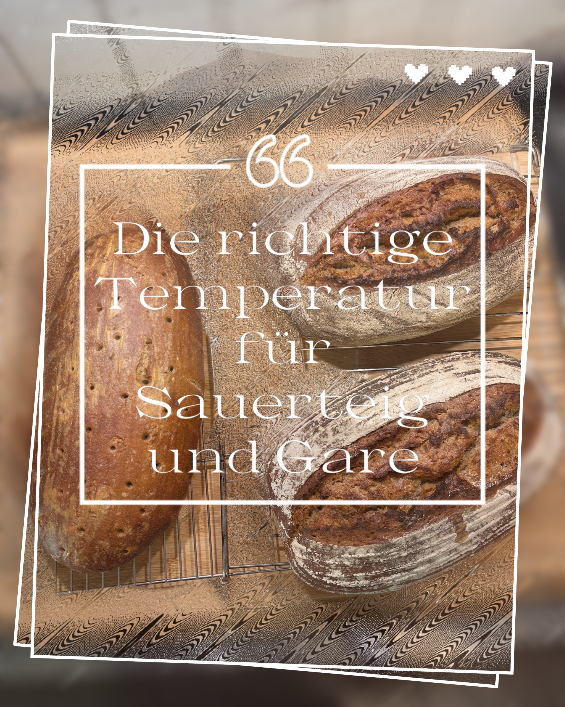 Wenn man bäckt ist die richtige Temperatur besonders wichtig. Und das nicht nur beim backen, sondern schon vorher, bei der Herstellung des Teiges. Hefe und Sauerteig mögen es lauschig warm. Im Normalfall heißt das bei Roggenbrot ungefähr 27-30°C. Weizenteige sind bei 24-27 °C optimal. Im Sommer ist das kein Problem. Doch ab September, wenn die Temperaturen runtergehen, dann eben doch.