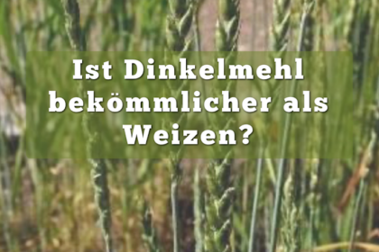 Ist Dinkelmehl besser als Weizen? 3 Ist Dinkelmehl besser als Weizen?