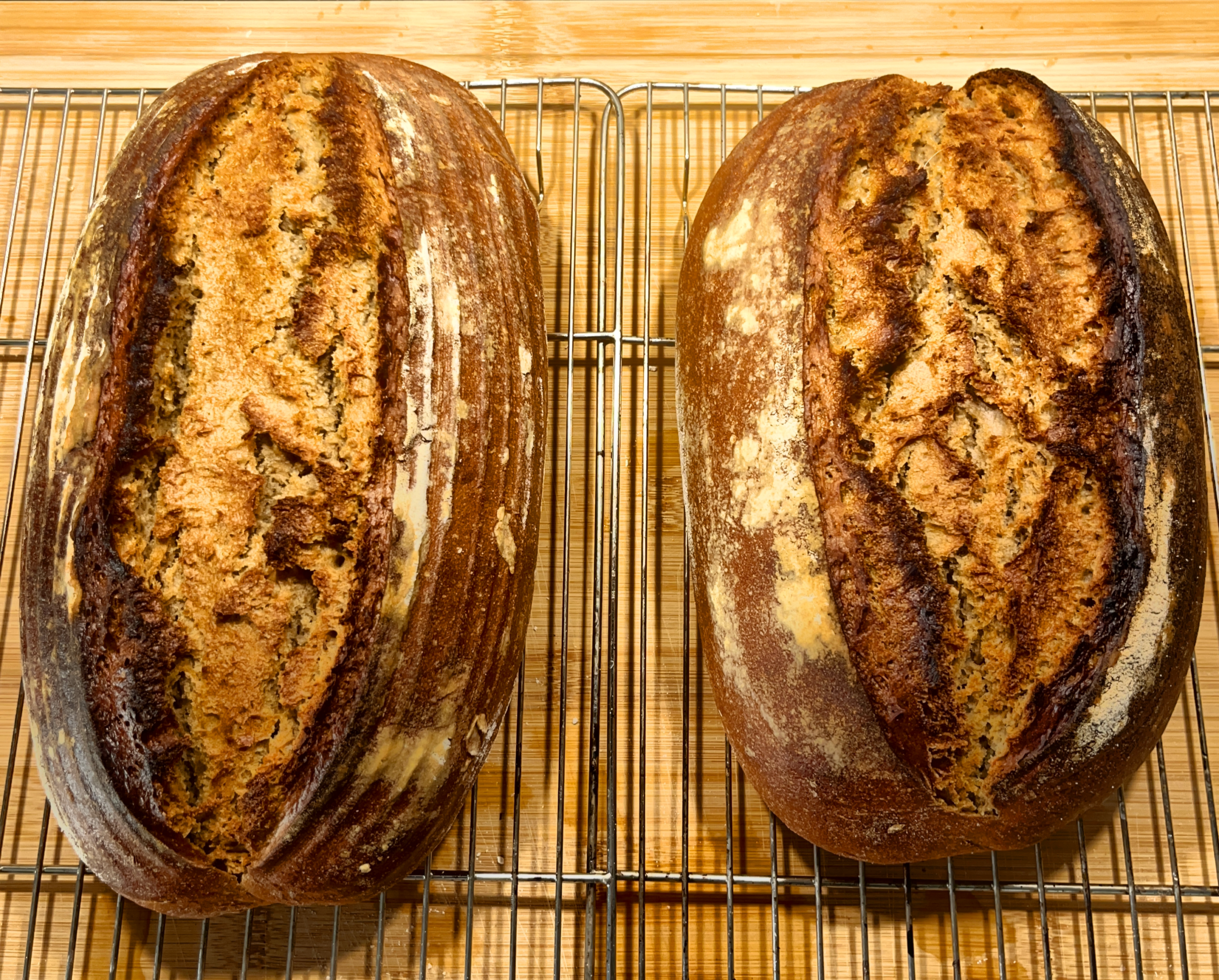 Warum sieht ein Roggenbrot anders aus als ein Weizenbrot? 1 Warum sieht ein Roggenbrot anders aus als ein Weizenbrot?