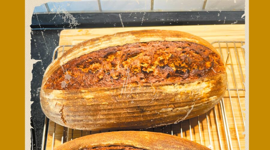 Knut's Roggenbrot-Guide