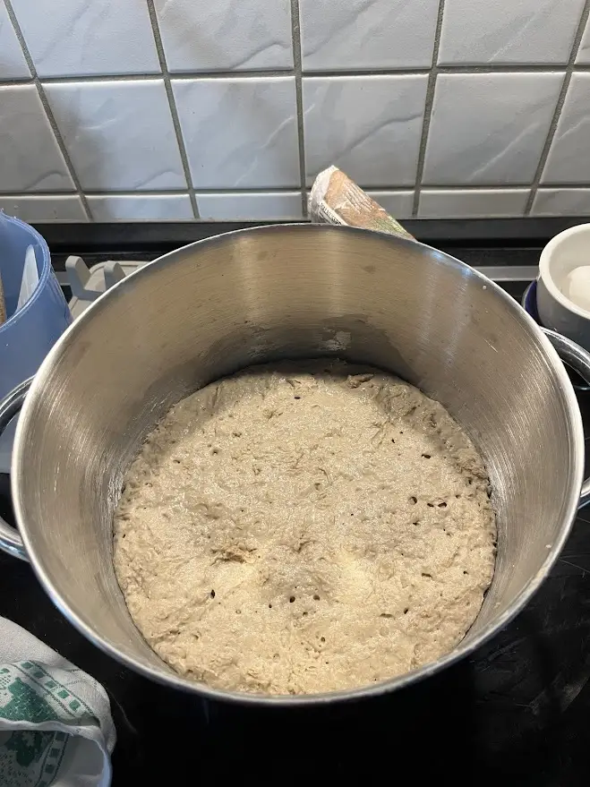 Fertiger Sauerteig
