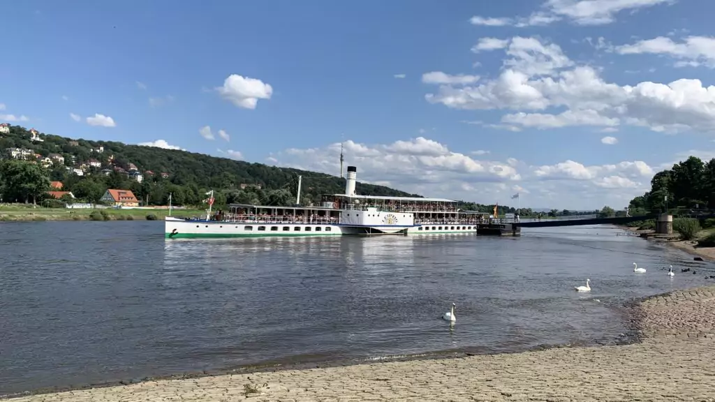 Dresdner Dampferflotte fotografiert von Gut Knut